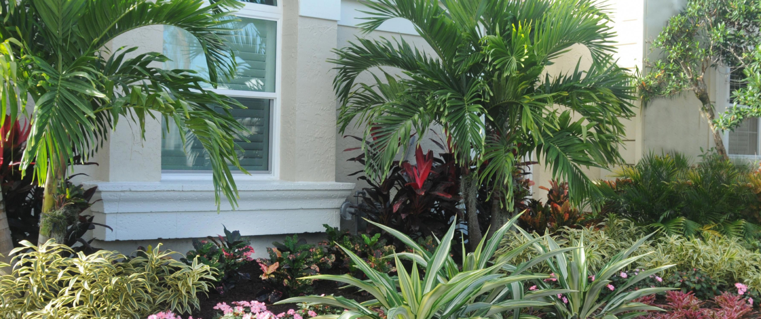 Top 10 Low-Maintenance Plants for Busy Gardeners (3)