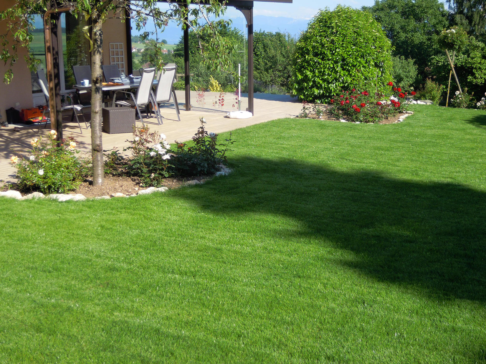 Transform Your Lawn 10 Essential Tips for a Lush, Green Yard (3) Transform Your Lawn 10 Essential Tips for a Lush, Green Yard (3)