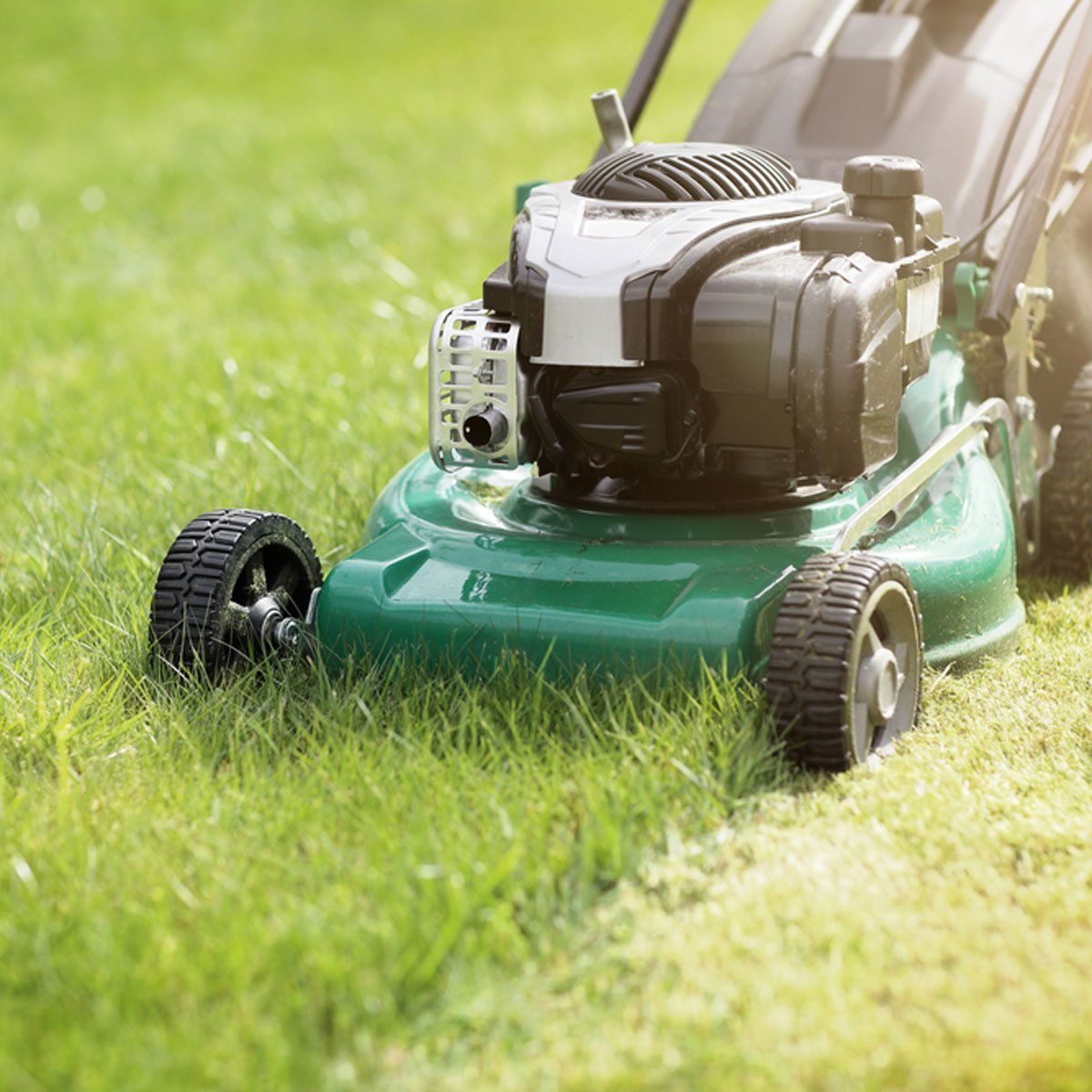 Understanding the Difference Between Dethatching and Aeration (2)