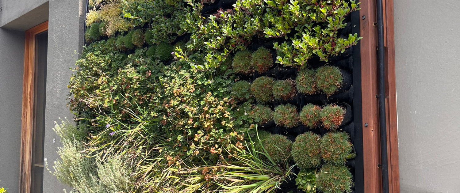 Vertical Gardening Maximizing Space in Small Yards