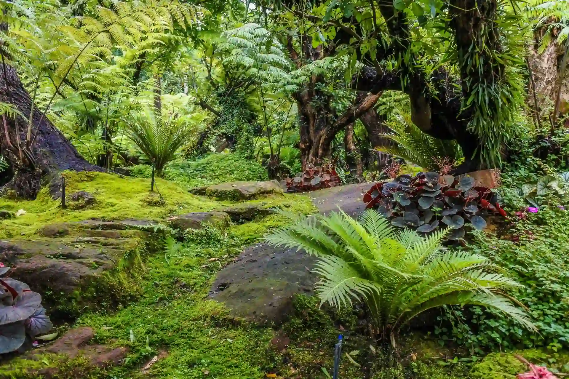 Environmental tips for Gardeners Environmental tips for Gardeners