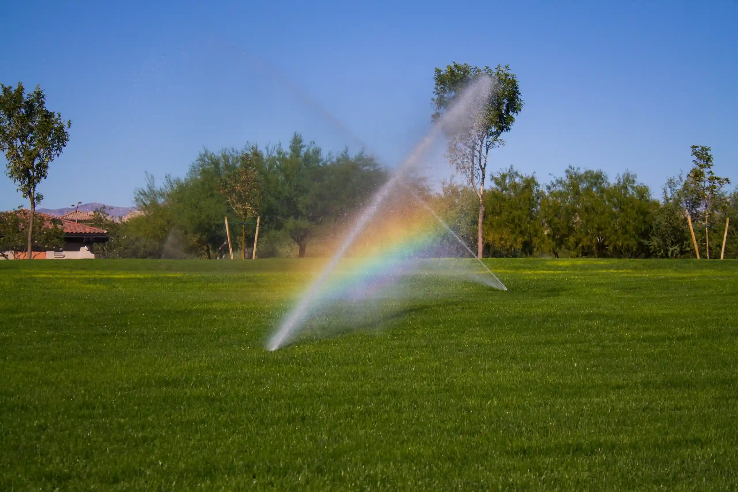 How to Improve your lawn How to Improve your lawn