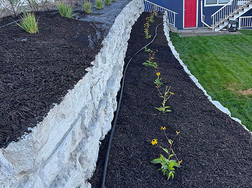 landscaping5-new (1) (1)