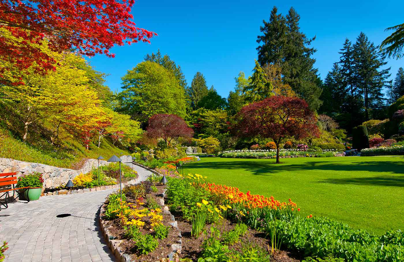 greenlii-plants-trees