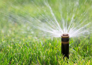 Irrigation