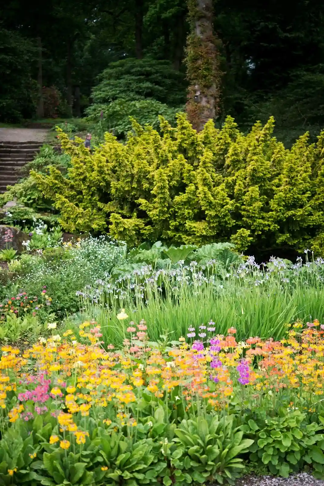Lawn Care and Garden Maintenance for Rental Properties Lawn Care and Garden Maintenance for Rental Properties