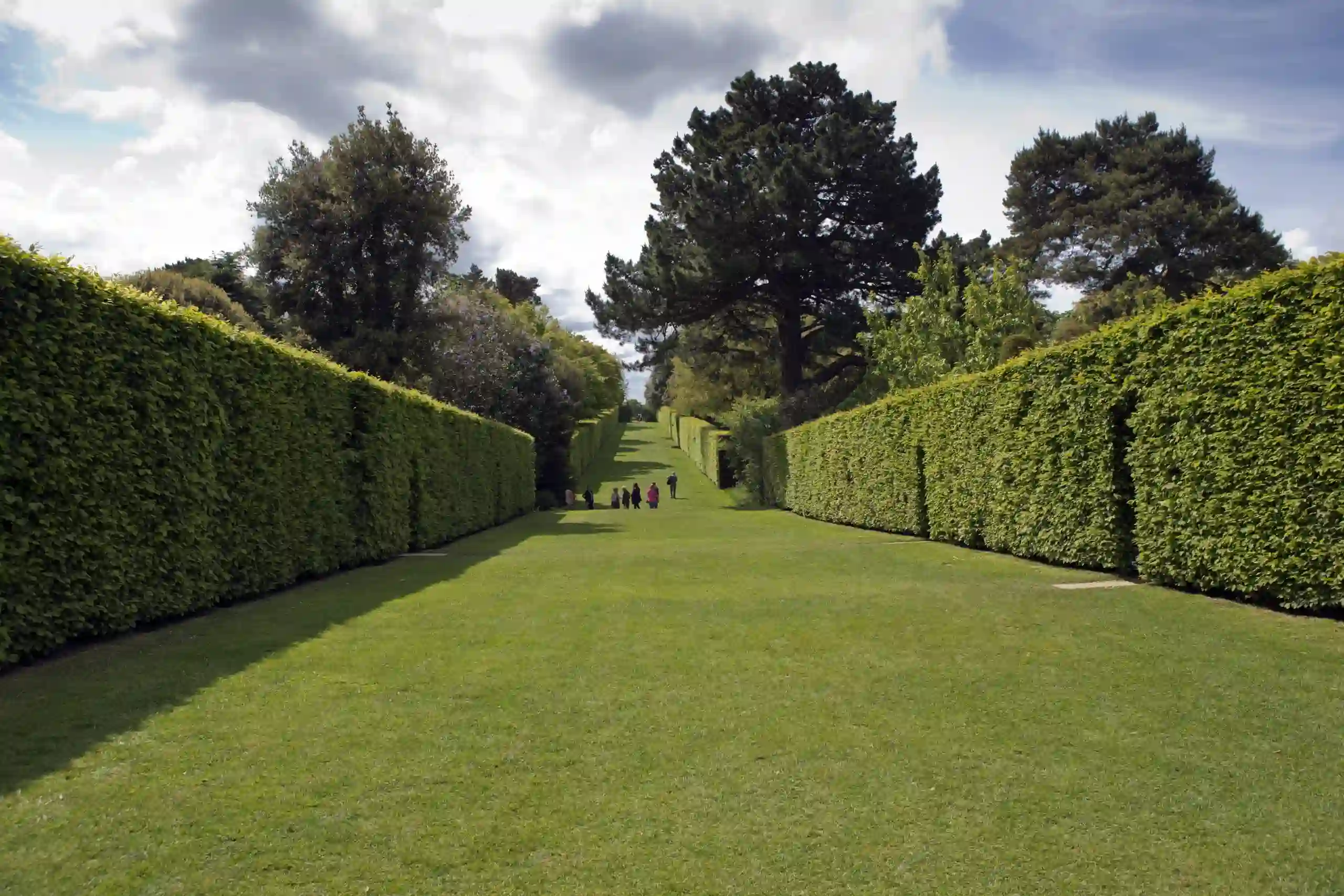 Correct Hedge Trimming and Cutting Techniques