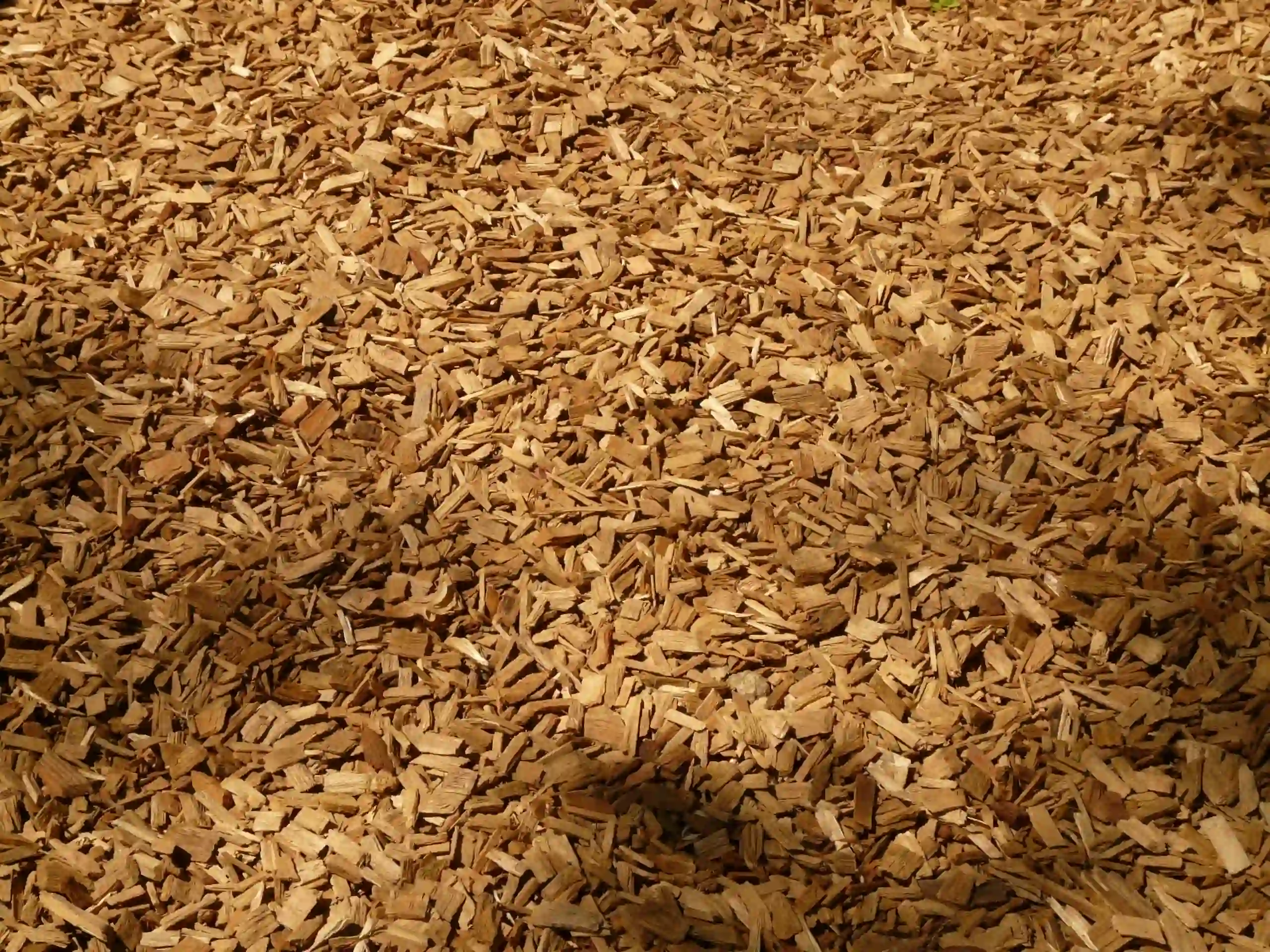 Wood Chip Mulch