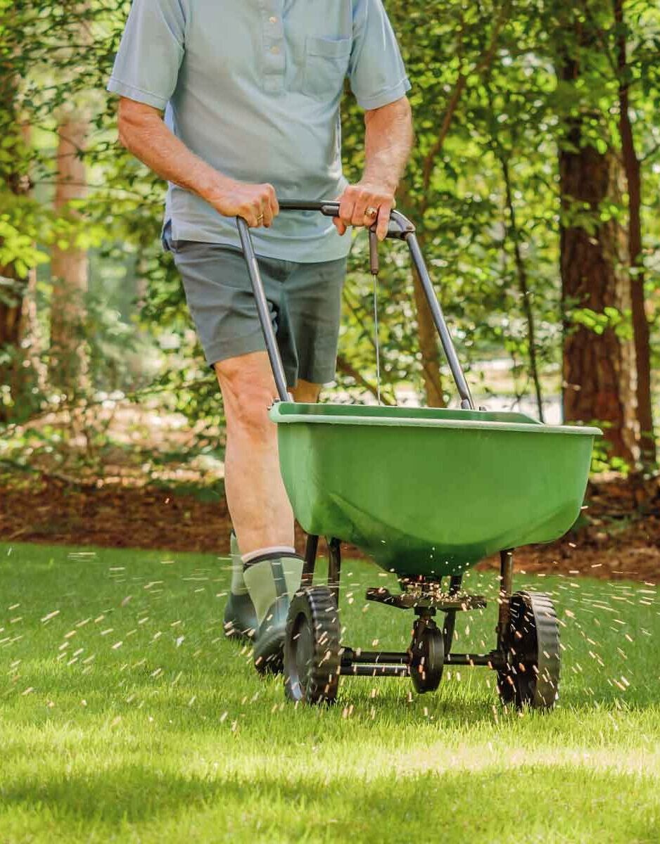 Abbotsford-Fertilizing-Services-Abbotsford Greenlii Fertilizing and Moss Control