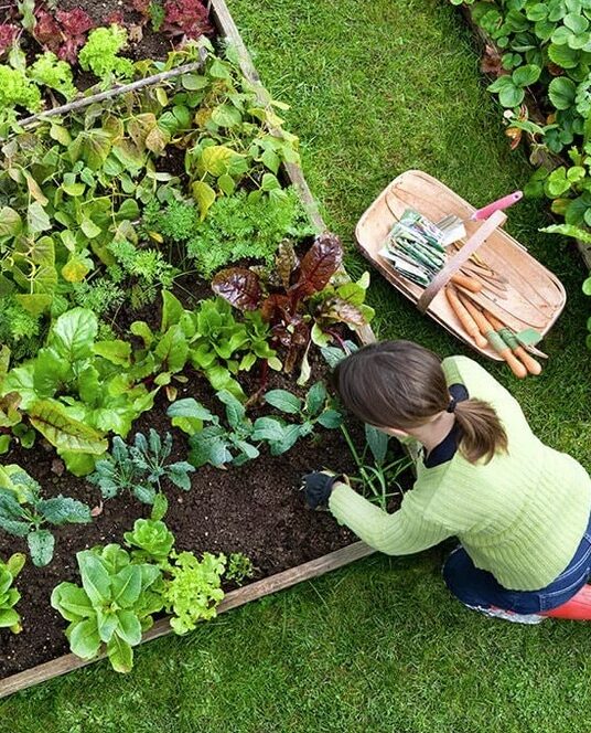Abbotsford-Gardening-Services-Abbotsford