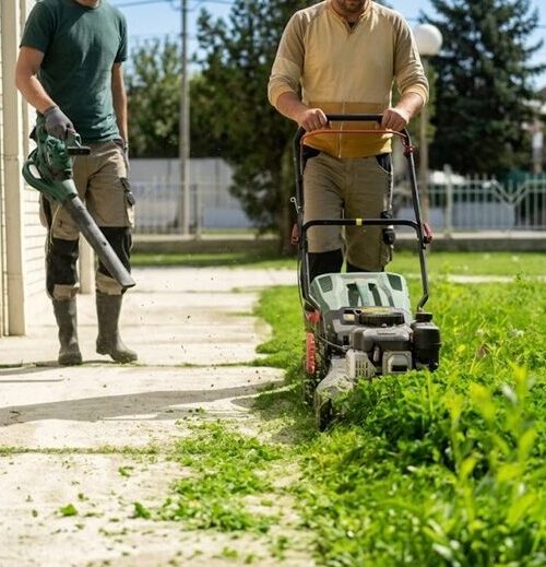 Two men are trimming grass: one is using a lawn mower, and the other one is using a blower to blow away the cut grass. Greenlii Lawn Care Services