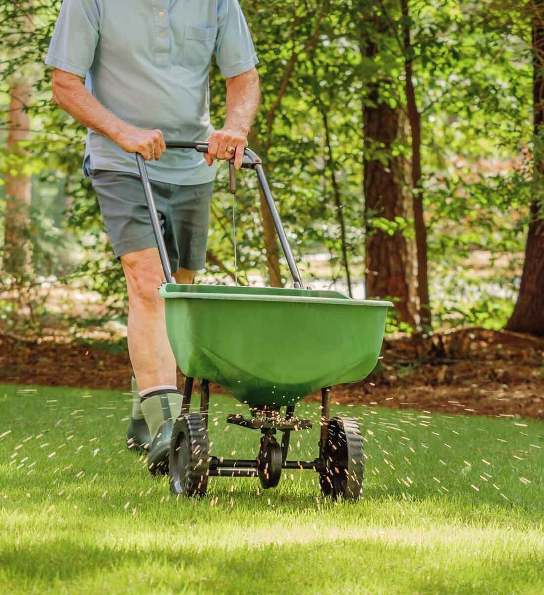 Denver-Fertilizing-Services-Denver Greenlii Fertilizing and Moss Control