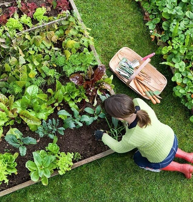 Denver-Gardening-Services-Denver