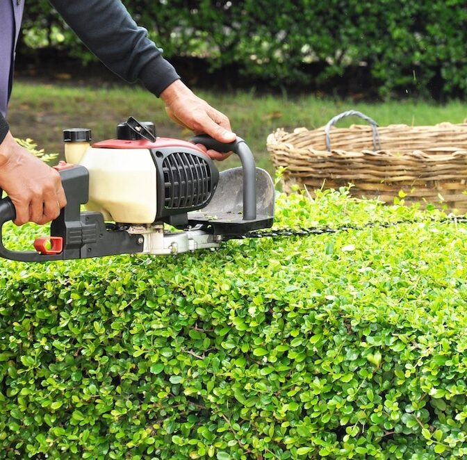 Denver-Hedge-Trimming-Services-Denver Greenlii Hedge Trimming Services