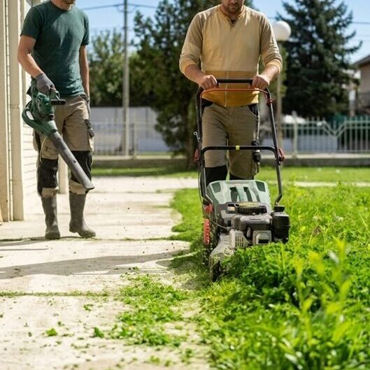 Denver-Lawn-Care-Services-Denver