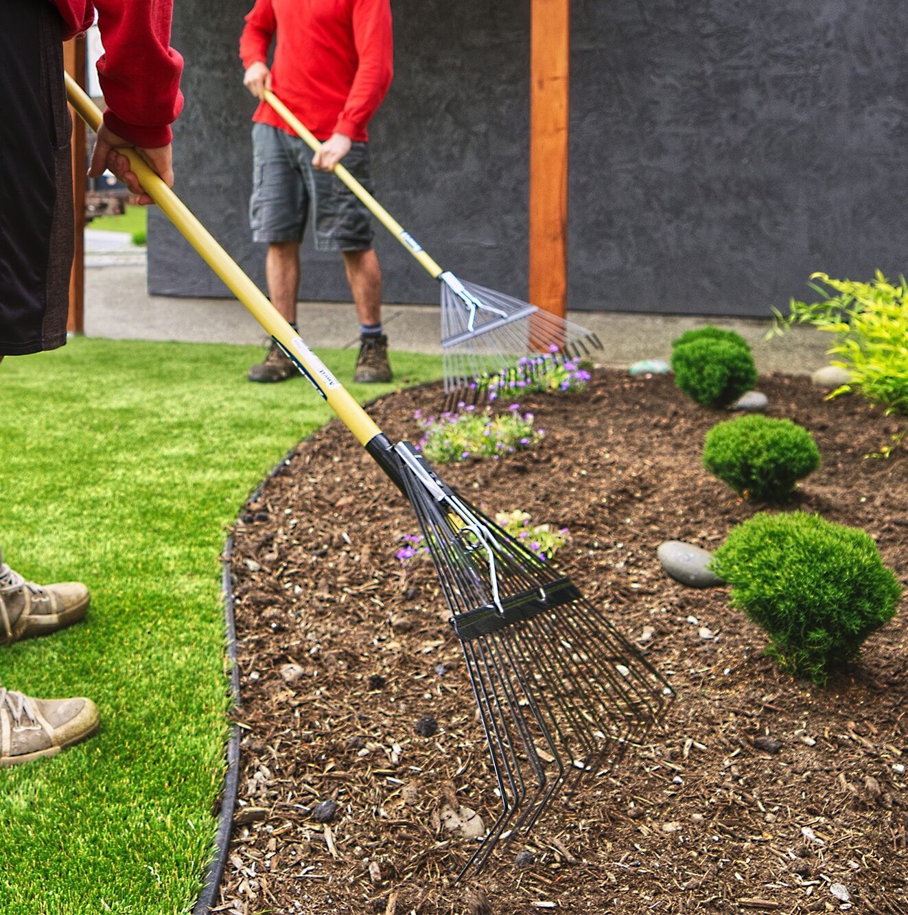 ATCDSC03363 Greenlii Spring Yard Clean Up Services