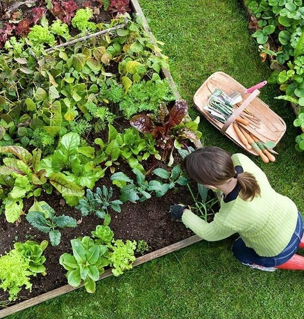 Kelowna-Gardening-Services-Kelowna