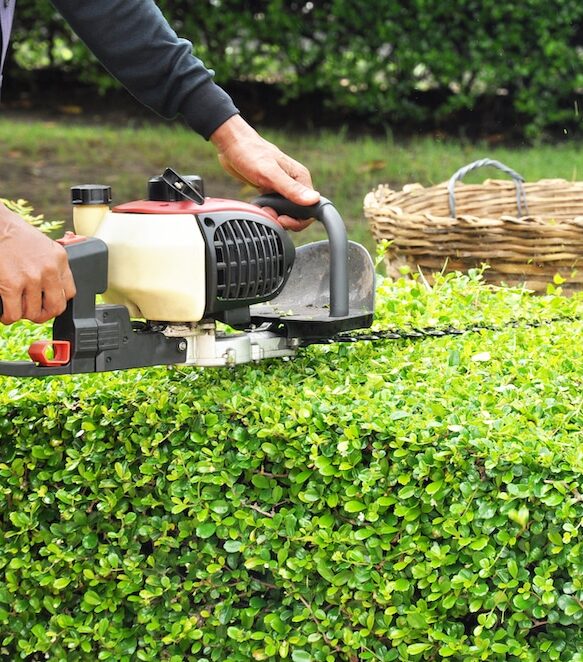 Kelowna-Hedge-Trimming-Services-Kelowna Greenlii Hedge Trimming Services