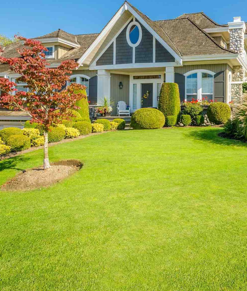 Langley-Landscaping-Services-Langley.