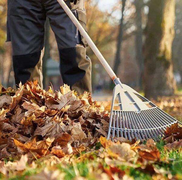 Aldergrove-Fall-Yard-Cleanup-Services-Aldergrove Greenlii Fall Clean Up Services