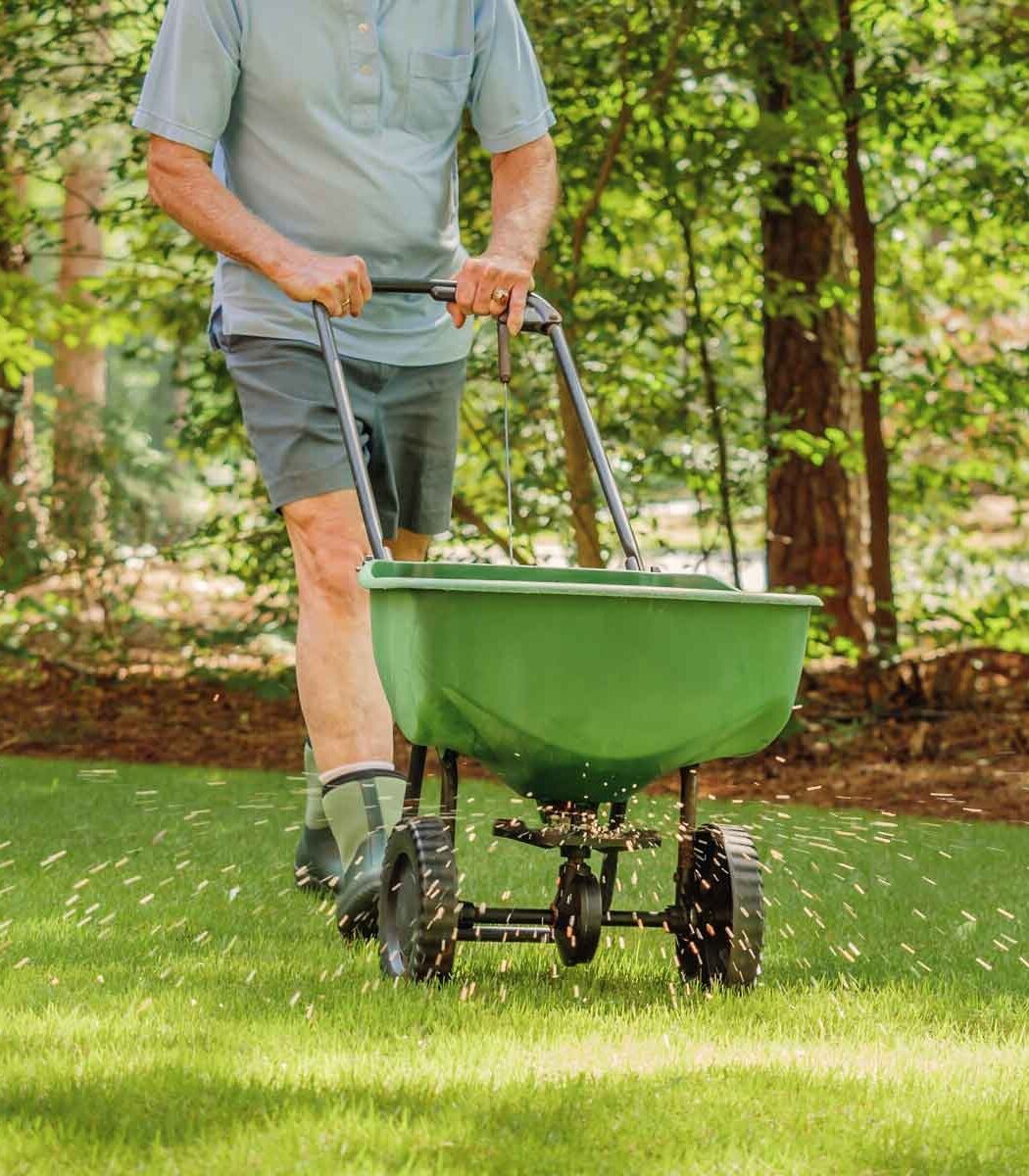 Aldergrove-Fertilizing-Services-Aldergrove Greenlii Fertilizing and Moss Control