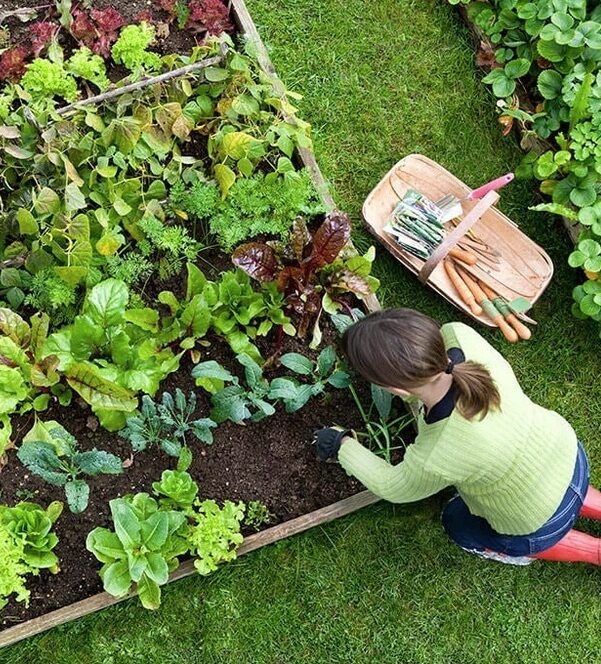Aldergrove-Gardening-Services-Aldergrove