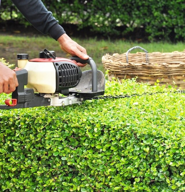 Aldergrove-Hedge-Trimming-Services-Aldergrove