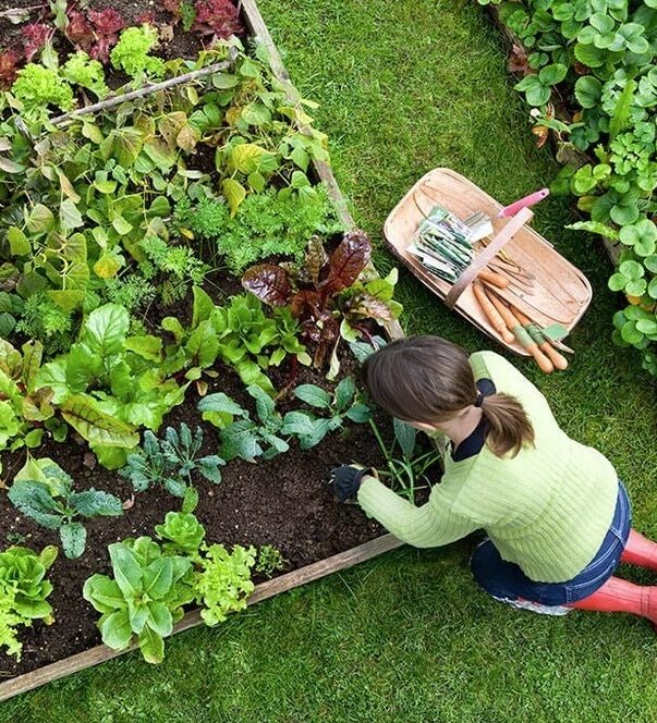 Burnaby-Gardening-Services-Burnaby