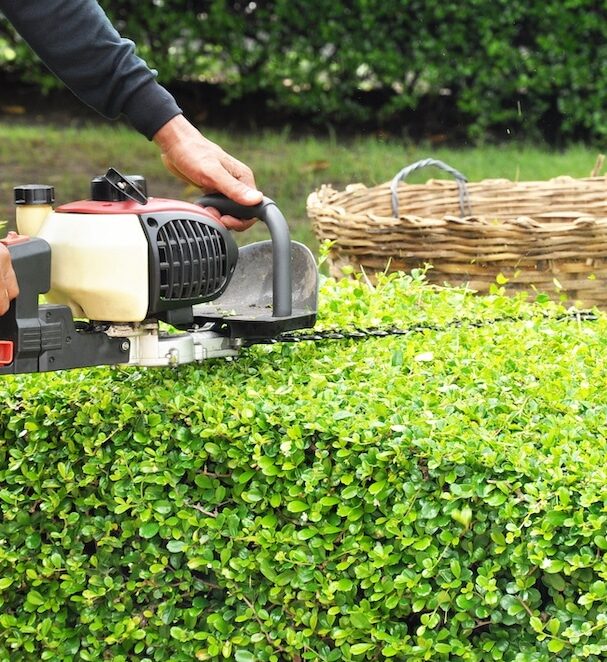 Burnaby-Hedge-Trimming-Services-Burnaby Greenlii Hedge Trimming Services