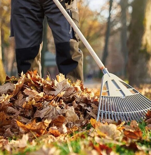 Chilliwack-Fall-Yard-Cleanup-Services-Chilliwack