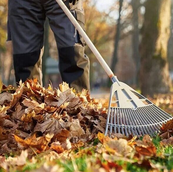 Coquitlam-Fall-Yard-Cleanup-Services-Coquitlam Greenlii Fall Clean Up Services