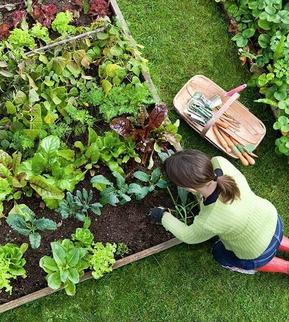 Coquitlam-Gardening-Services-Coquitlam Have a great lawn