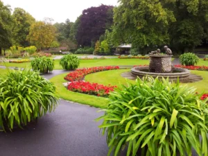 Landscaping ideas to boost your curb appeal Landscaping ideas to boost your curb appeal