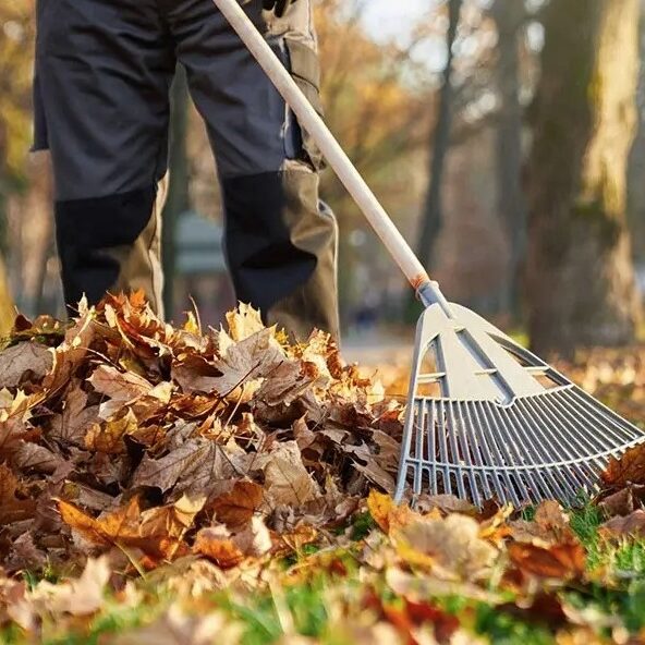 Delta-Fall-Yard-Cleanup-Services-Delta Greenlii Fall Clean Up Services