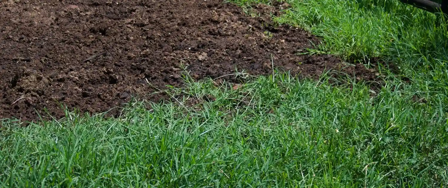 How to Improve Your Lawn for Under $1000