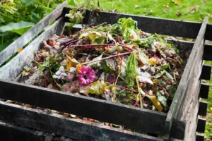 How to set up a compost Bin How to set up a compost Bin