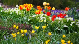 Include Lawn Care and Garden Maintenance