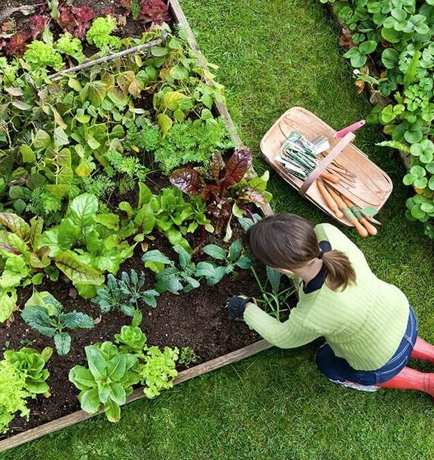 Kamloops-Gardening-Services-Kamloops Have a great lawn