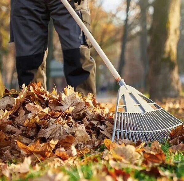 Langley-Fall-Yard-Cleanup-Services-Langley Greenlii Fall Clean Up Services