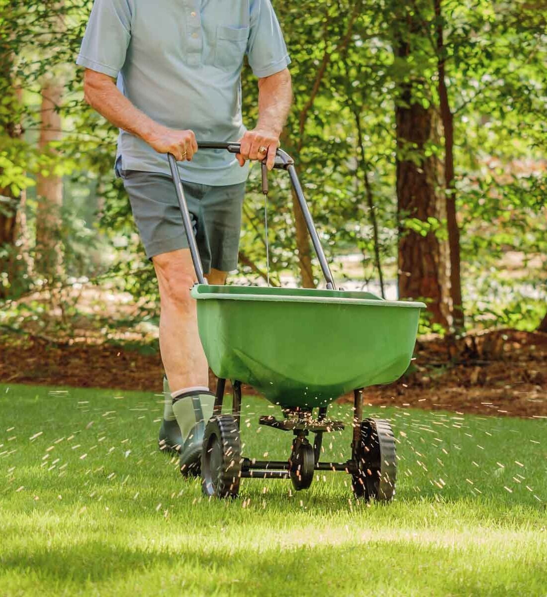 Langley-Fertilizing-Services-Langley Have a great lawn