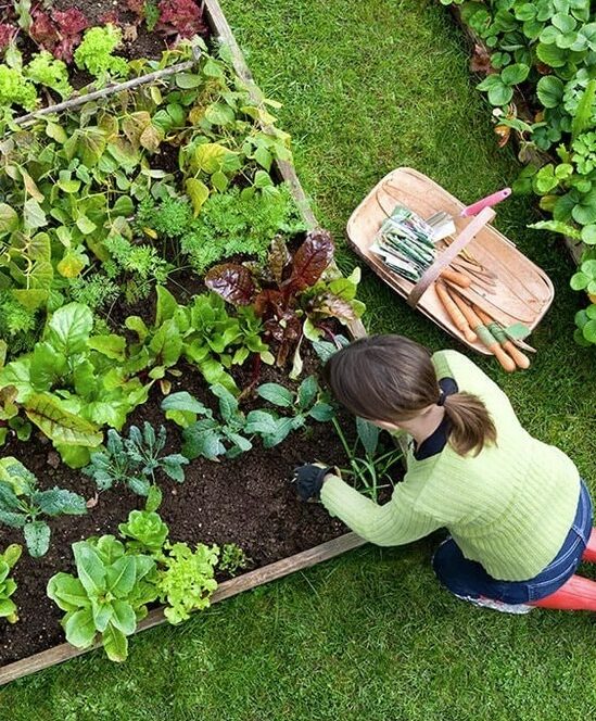 Langley-Gardening-Services-Langley