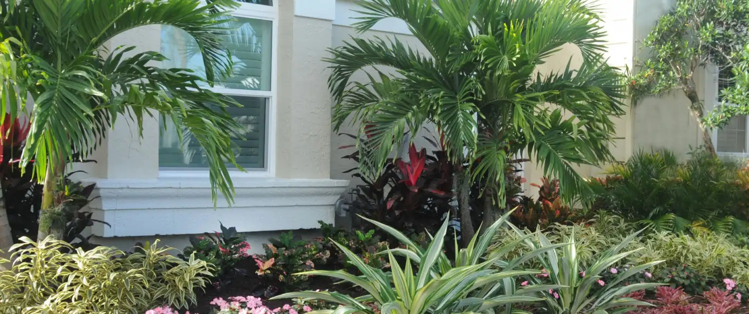 Top 10 Low-Maintenance Plants for Busy Gardeners (3)