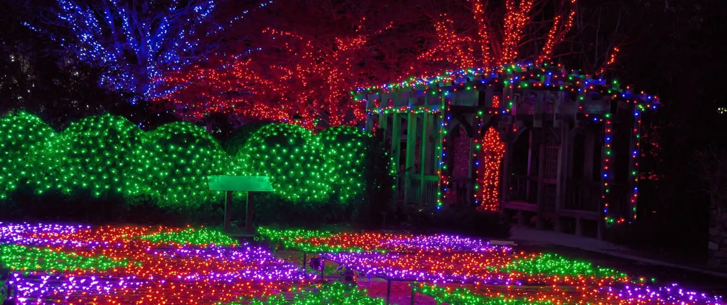 Multicolored Magic