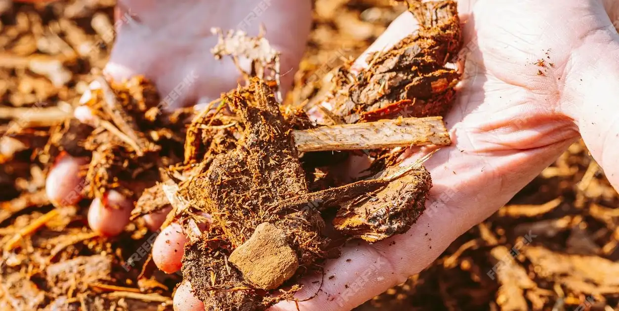 Myth #6: Mulching is Only for Warmer Months