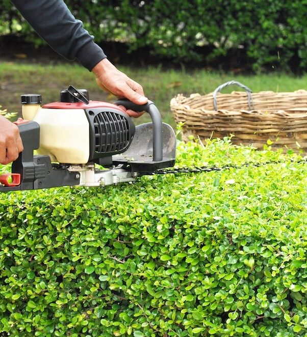 Nanaimo-Hedge-Trimming-Services-Nanaimo