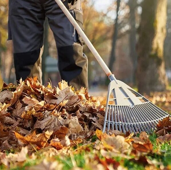 New-Westminster-Fall-Yard-Cleanup-Services-New-Westminster Greenlii Fall Clean Up Services