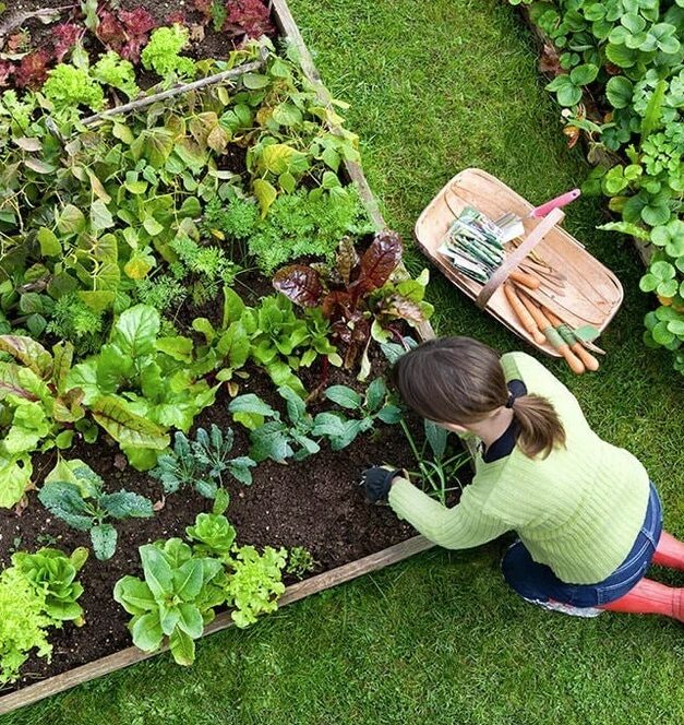 New-Westminster-Gardening-Services-New-Westminster Have a great lawn
