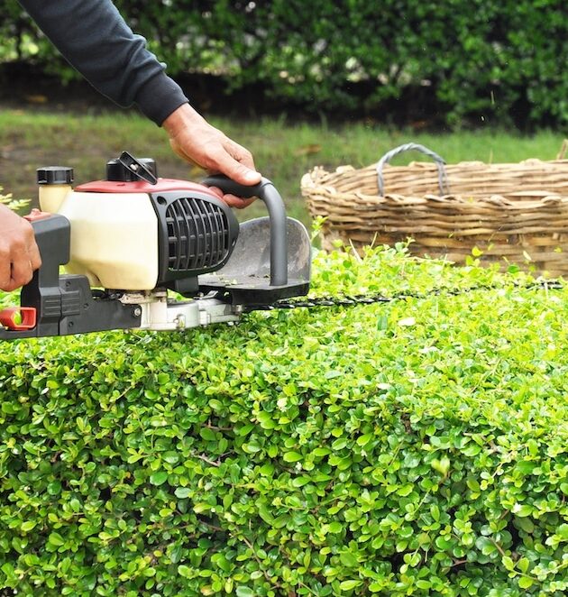 Parksville-Hedge-Trimming-Services-Parksville Greenlii Hedge Trimming Services