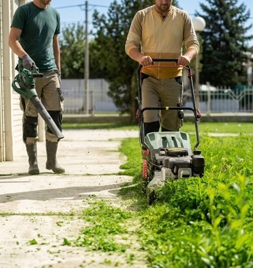 Parksville-Lawn-Care-Services-Parksville Greenlii Lawn Care Services