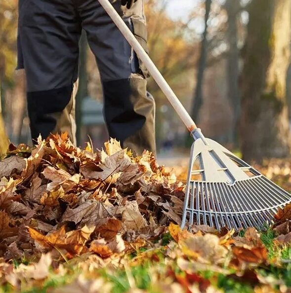 Peachland-Fall-Yard-Cleanup-Services-Peachland Greenlii Fall Clean Up Services
